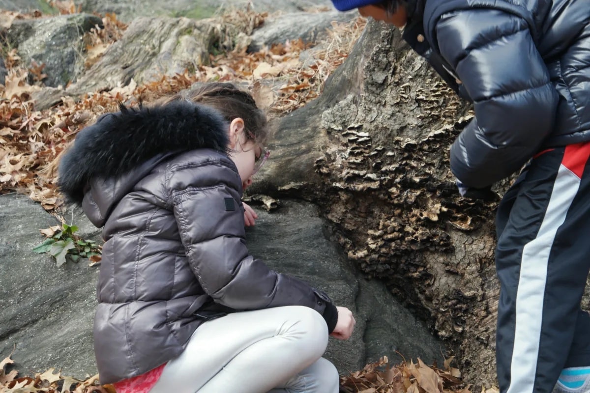 Two lower school students look closely at a rock formation in Central Park