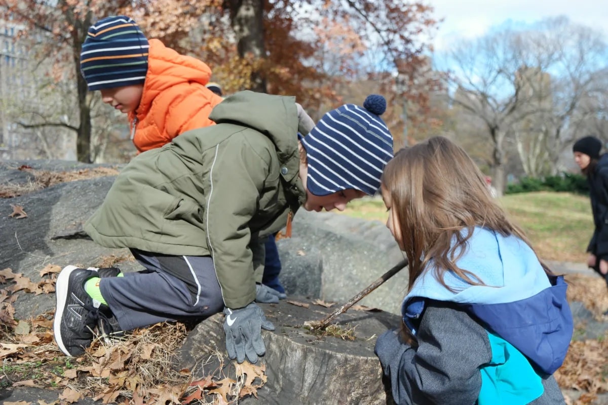 Two lower school students bend over a tree stump and inspect it closely