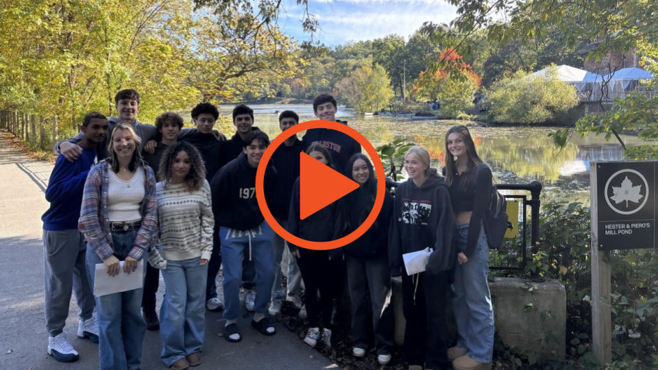 city sem thumbnail for wp