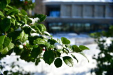 Ethical Culture Fieldston School snowy campus