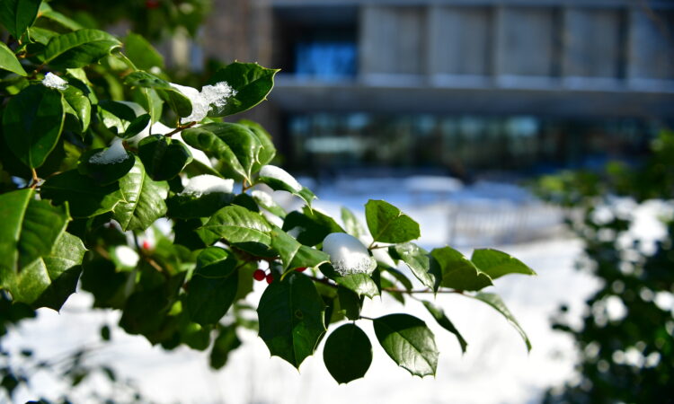 Ethical Culture Fieldston School snowy campus
