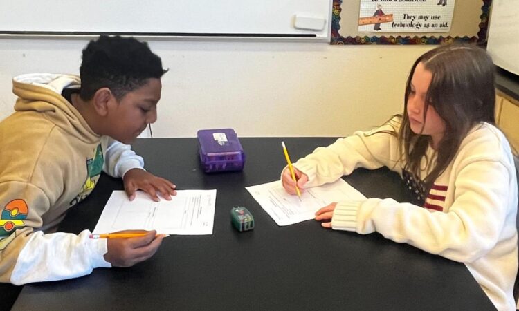 Fieldston Lower math project