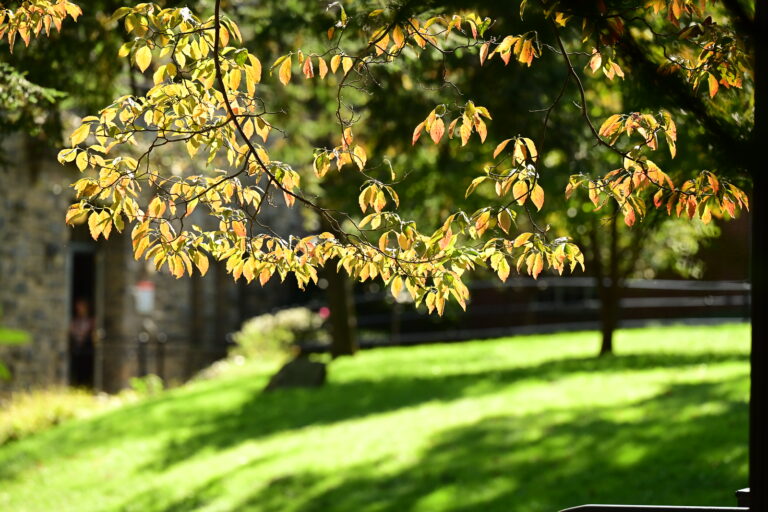 Ethical Culture Fieldston School campus