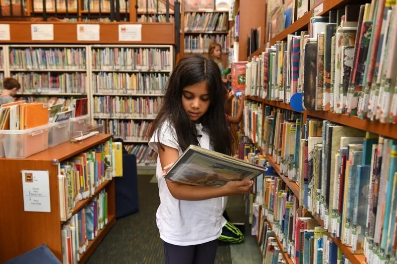 Student reads the back of a book in the library