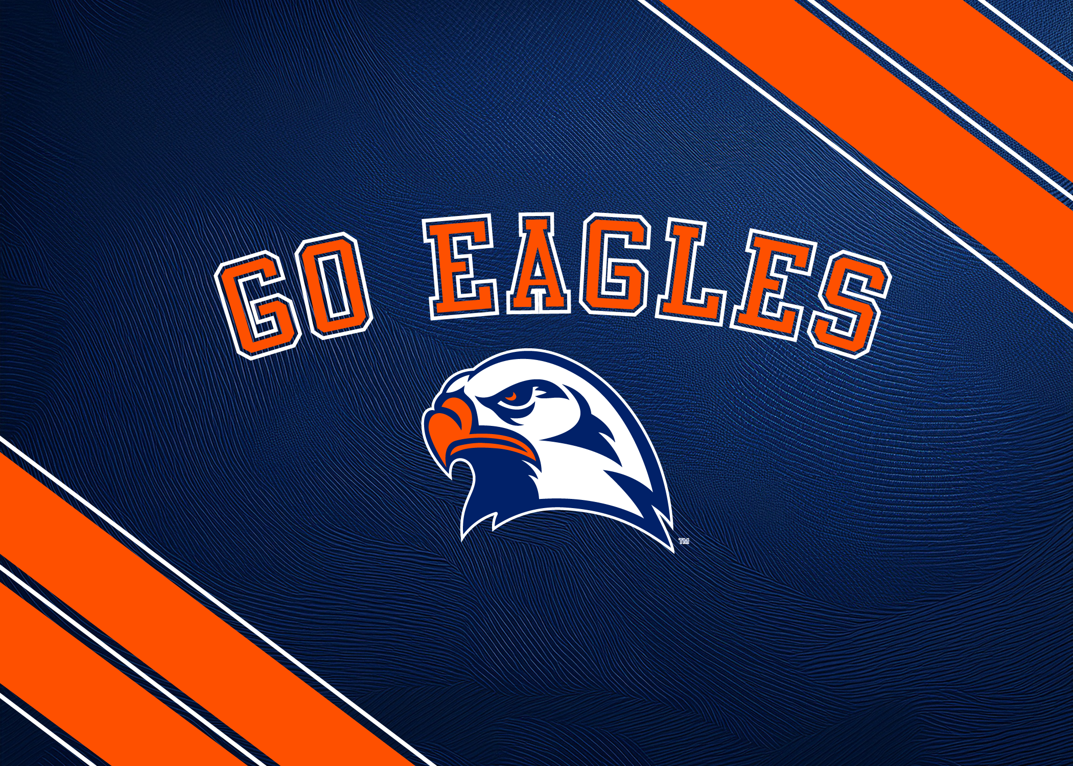 ECFS Go Eagles banner