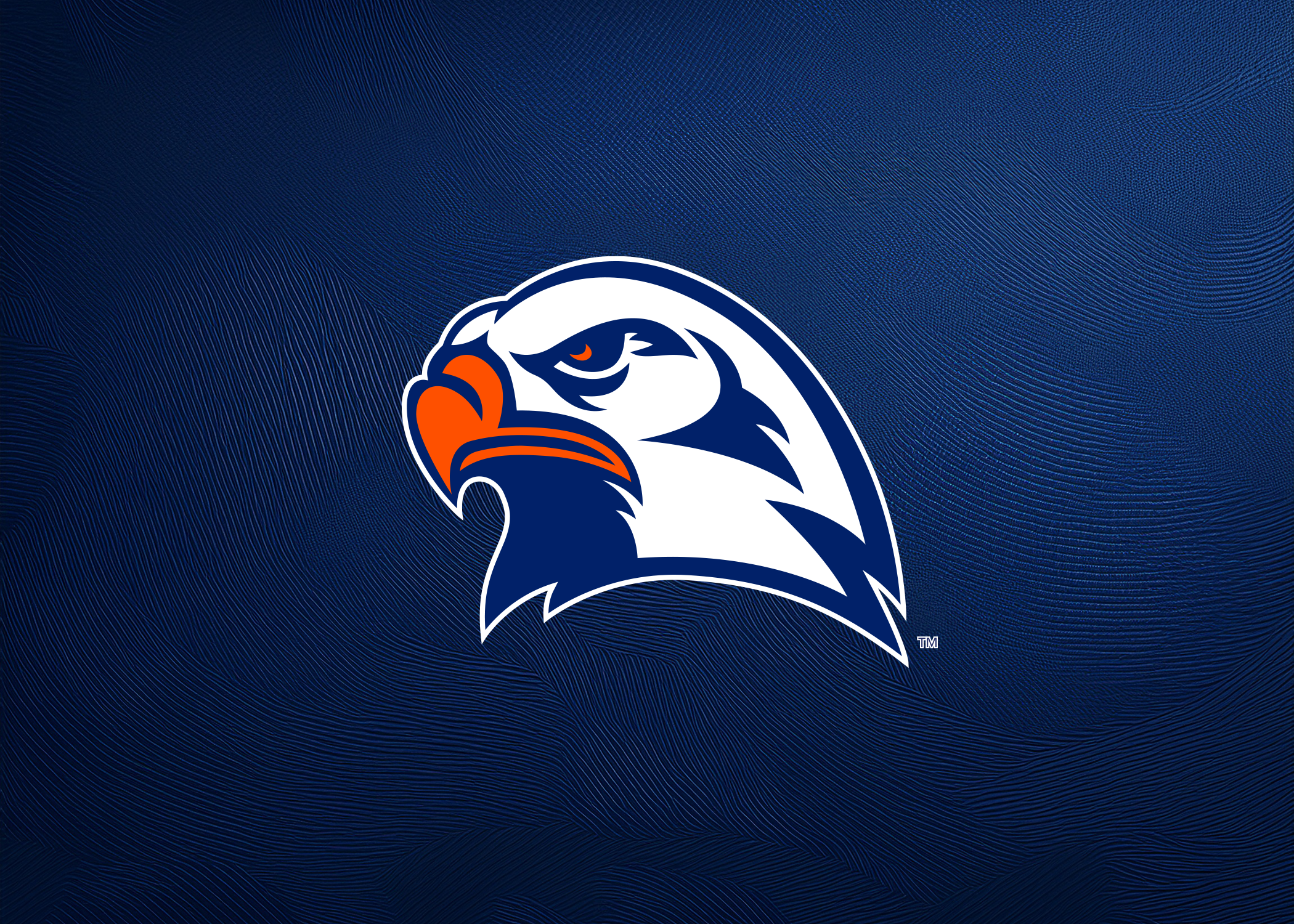 eagle banner