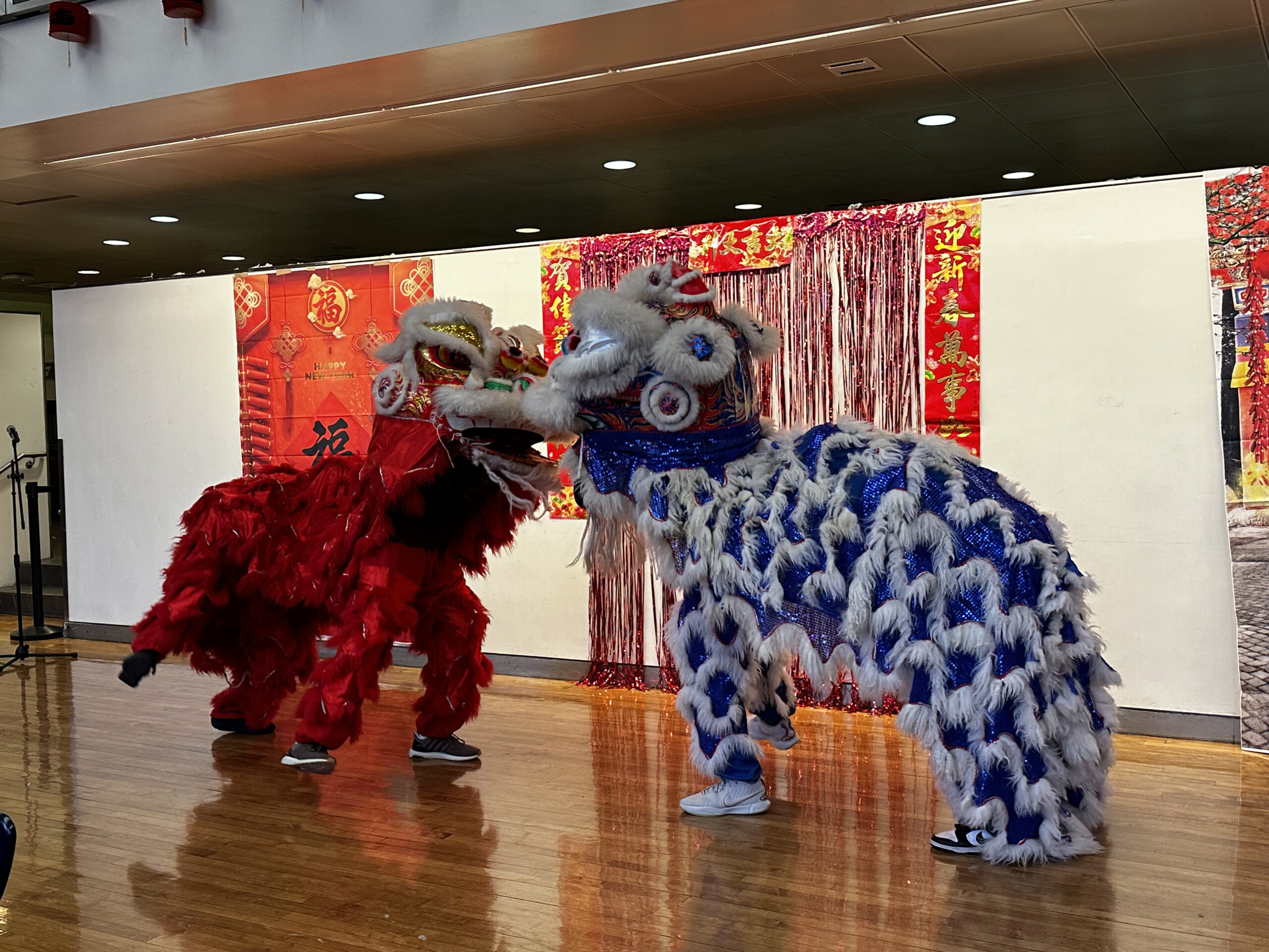 Stellar performance at annual Lunar New Year celebration in 2024.