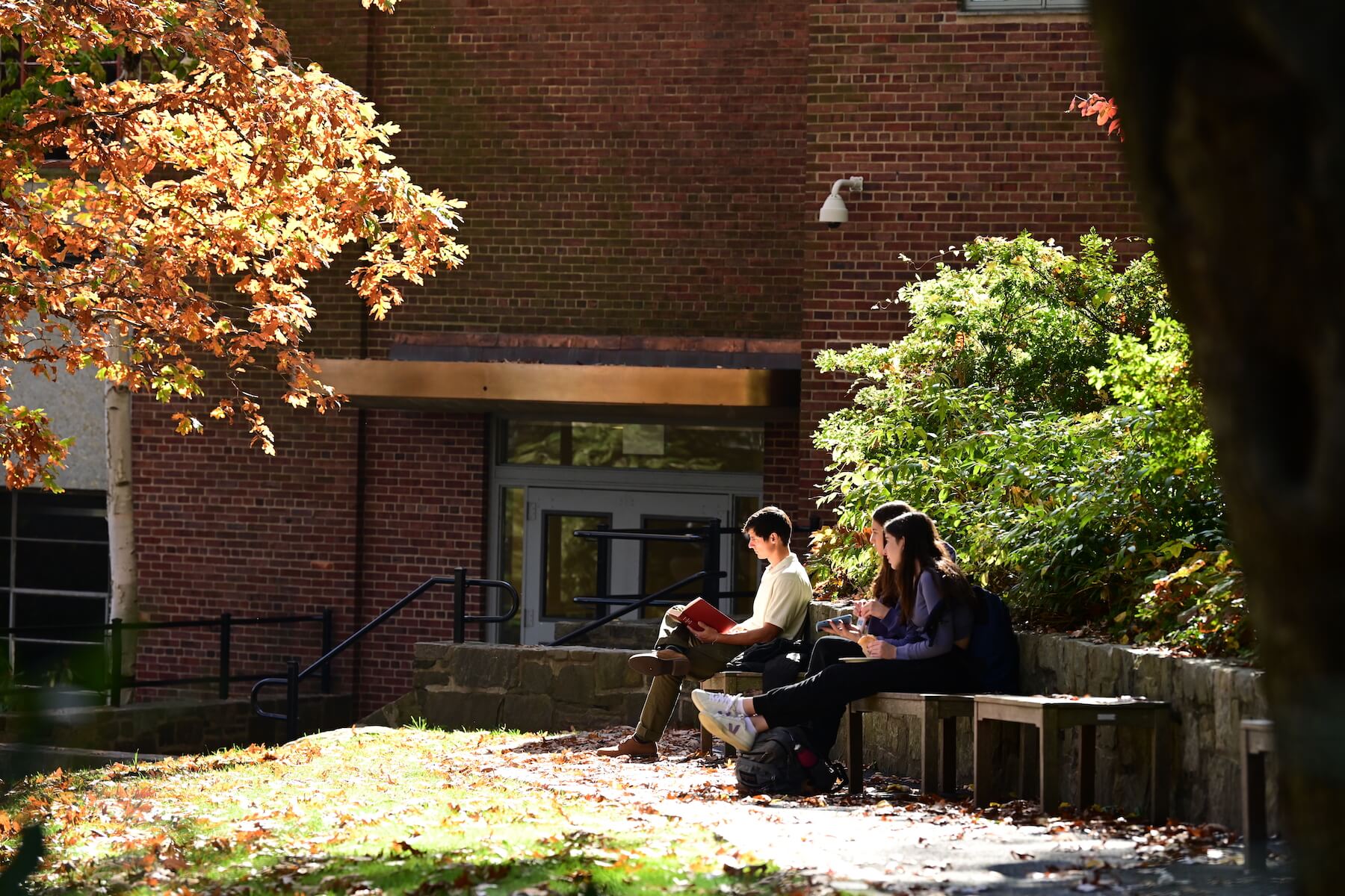 Ethical Culture Fieldston School Upper School students sit in the quad in the sun