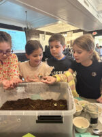 Students observe red wiggler worms at event.