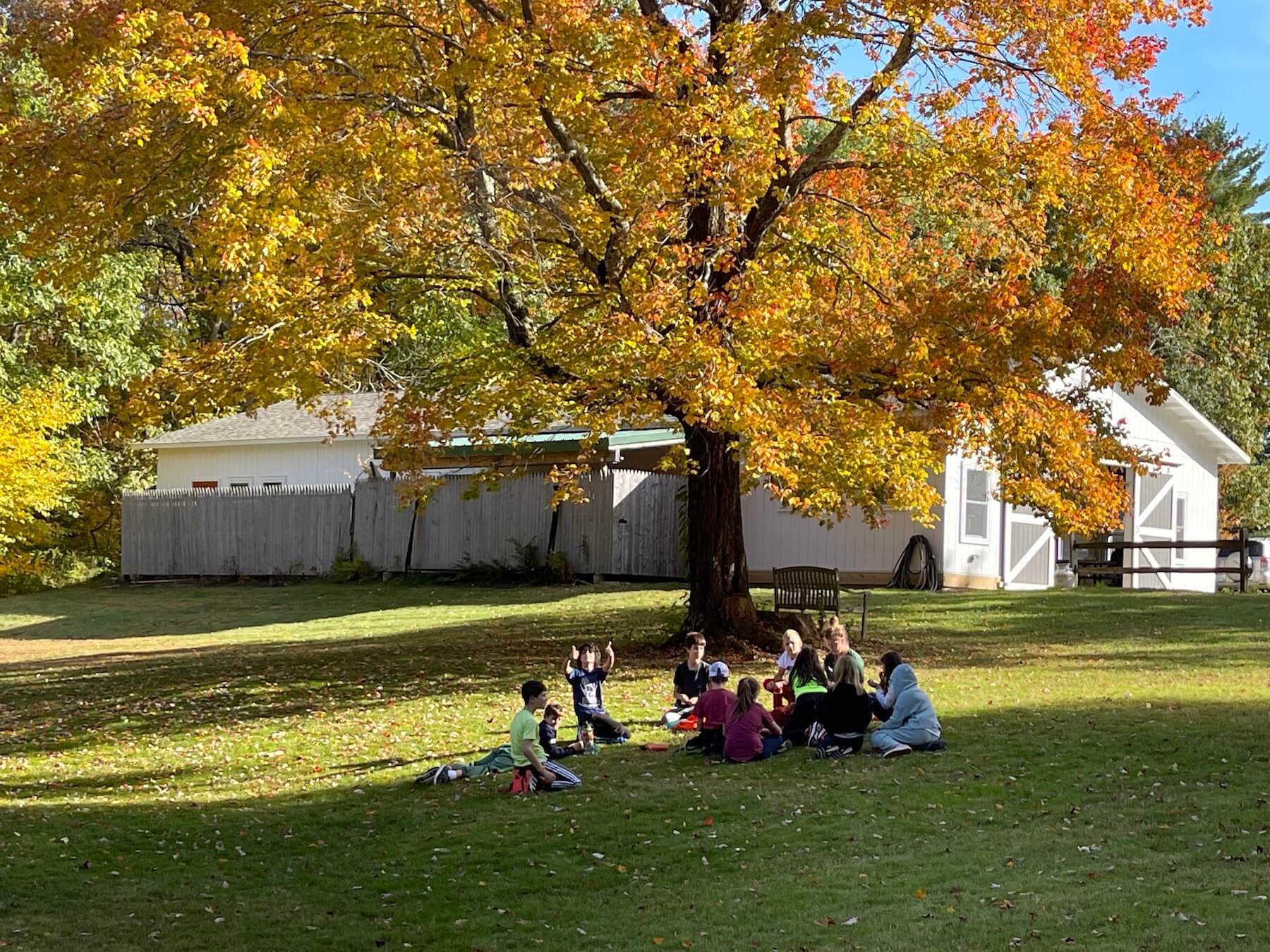 Ethical Culture students gather under at tree at Nature's Classroom. One student gives the camera a thumbs up!