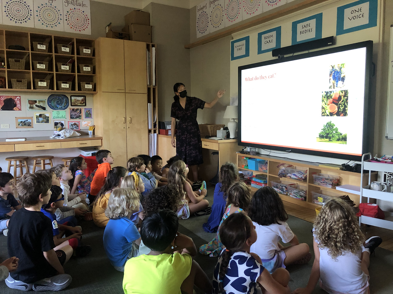 At Ethical Culture Fieldston School, 2nd Grade students sit on the floor as teacher presents on lanternflies. Screen reads, "What do they eat?"