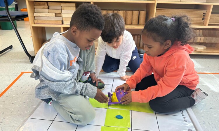 Ethical Culture Fieldston School Kindergarten codes