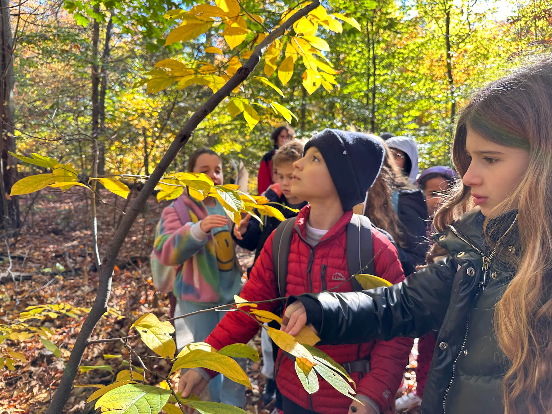Ethical Culture Fieldston School_Feel Good Photos_Fieldston Lower 3rd Grade class learning about trees during a field trip to NYBG