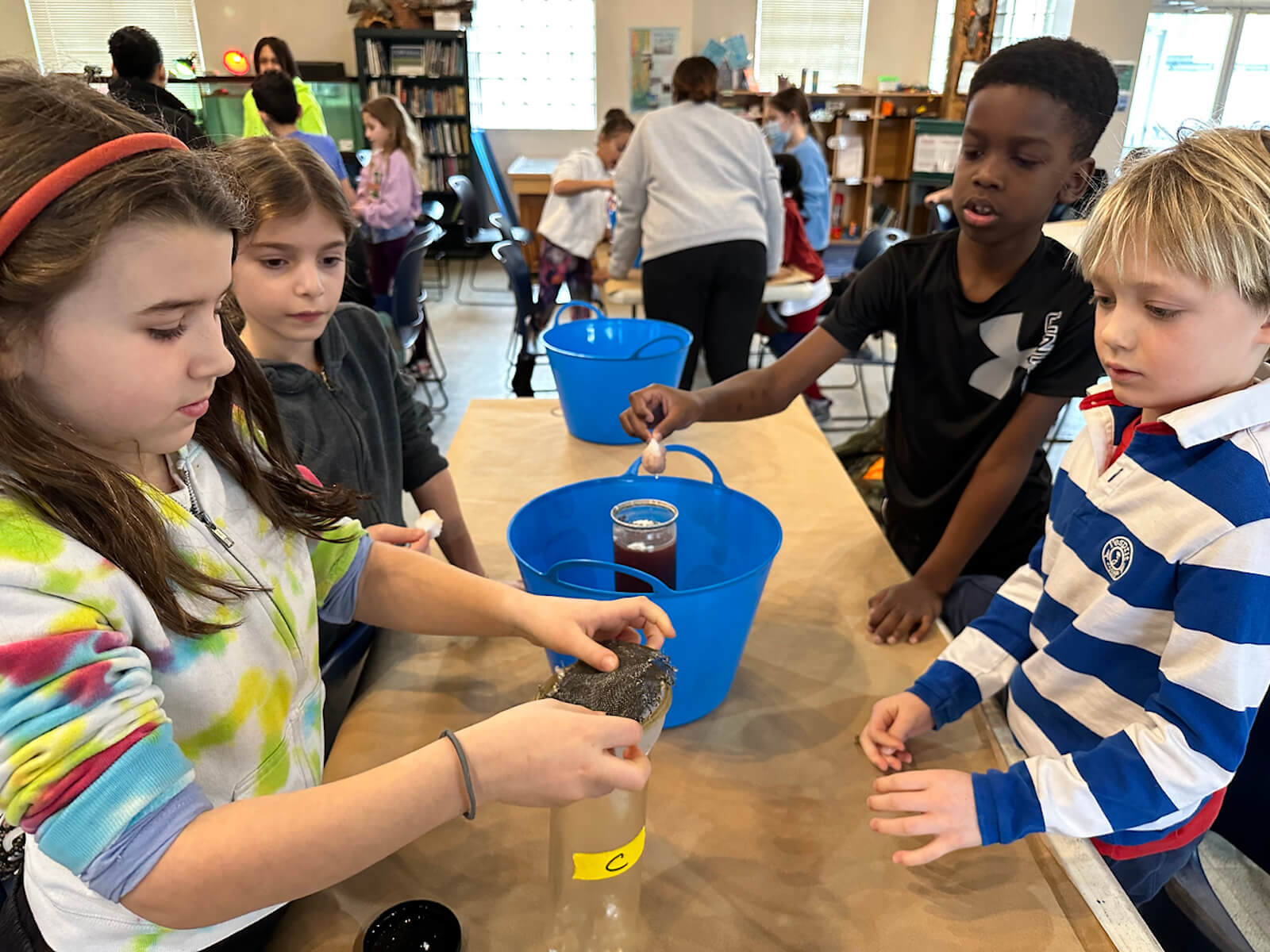 Fieldston Lower students use different strategies to clean water at the Beczak Center.