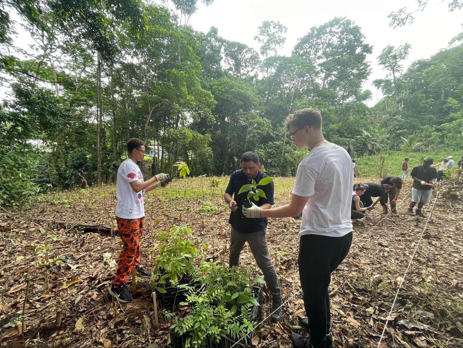 Ethical Culture Fieldston School Upper School students travel abroad.