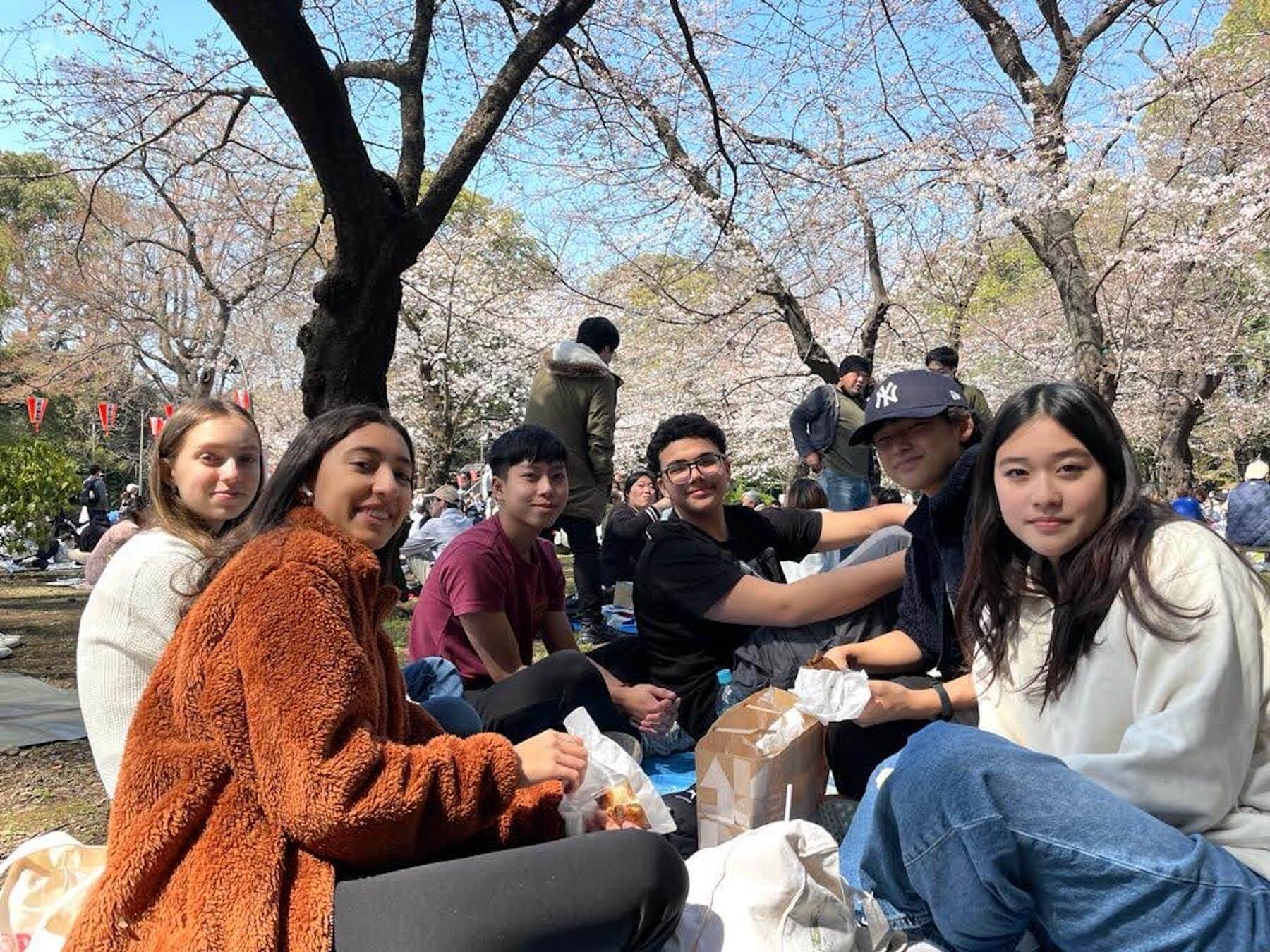 A group of Ethical Culture Fieldston Upper School students picnic under cherry blossoms in Japan