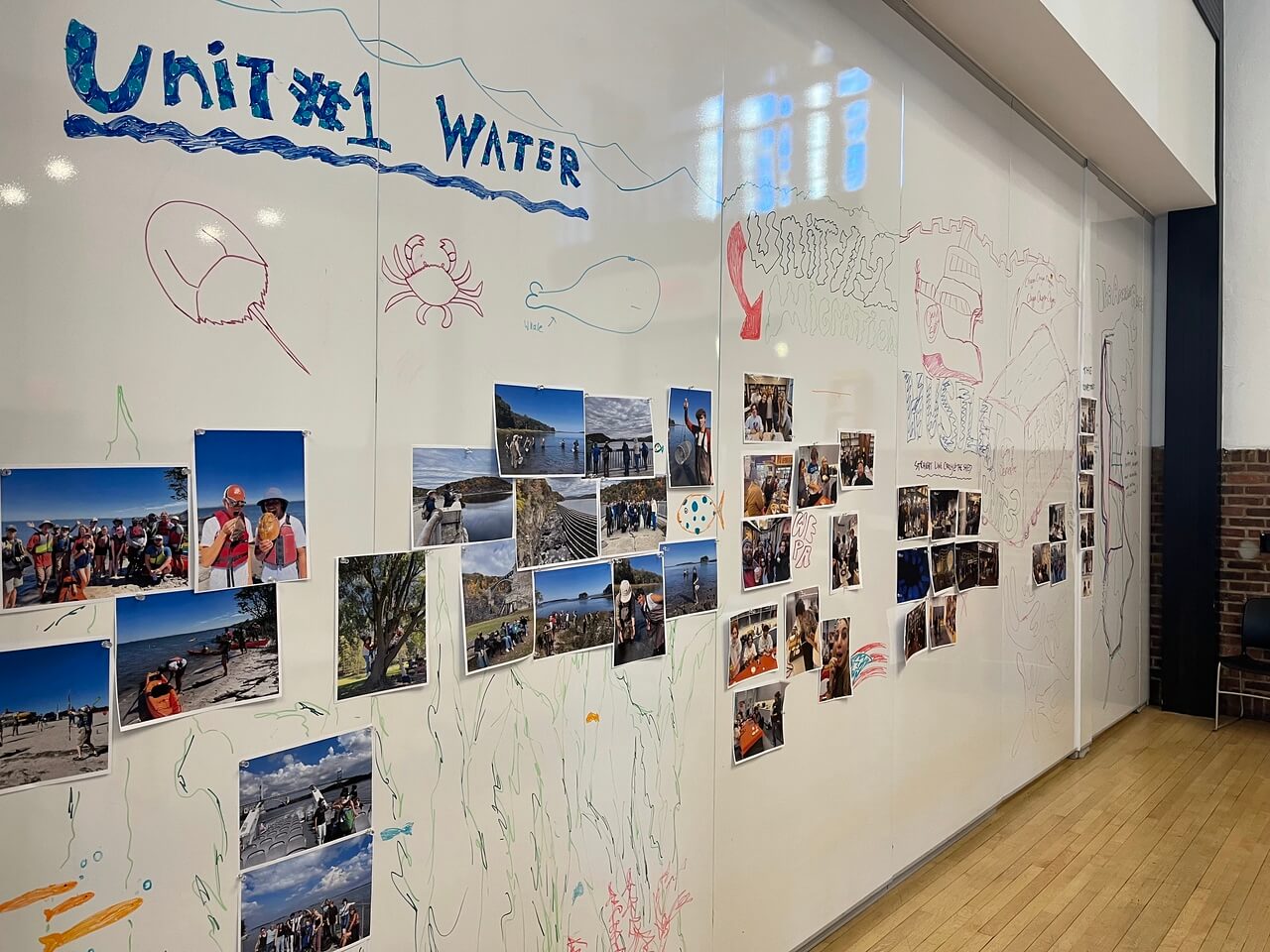 Photo of decorated whiteboard at CitySem Exhibition. Board reads, "Unit 1: Water."