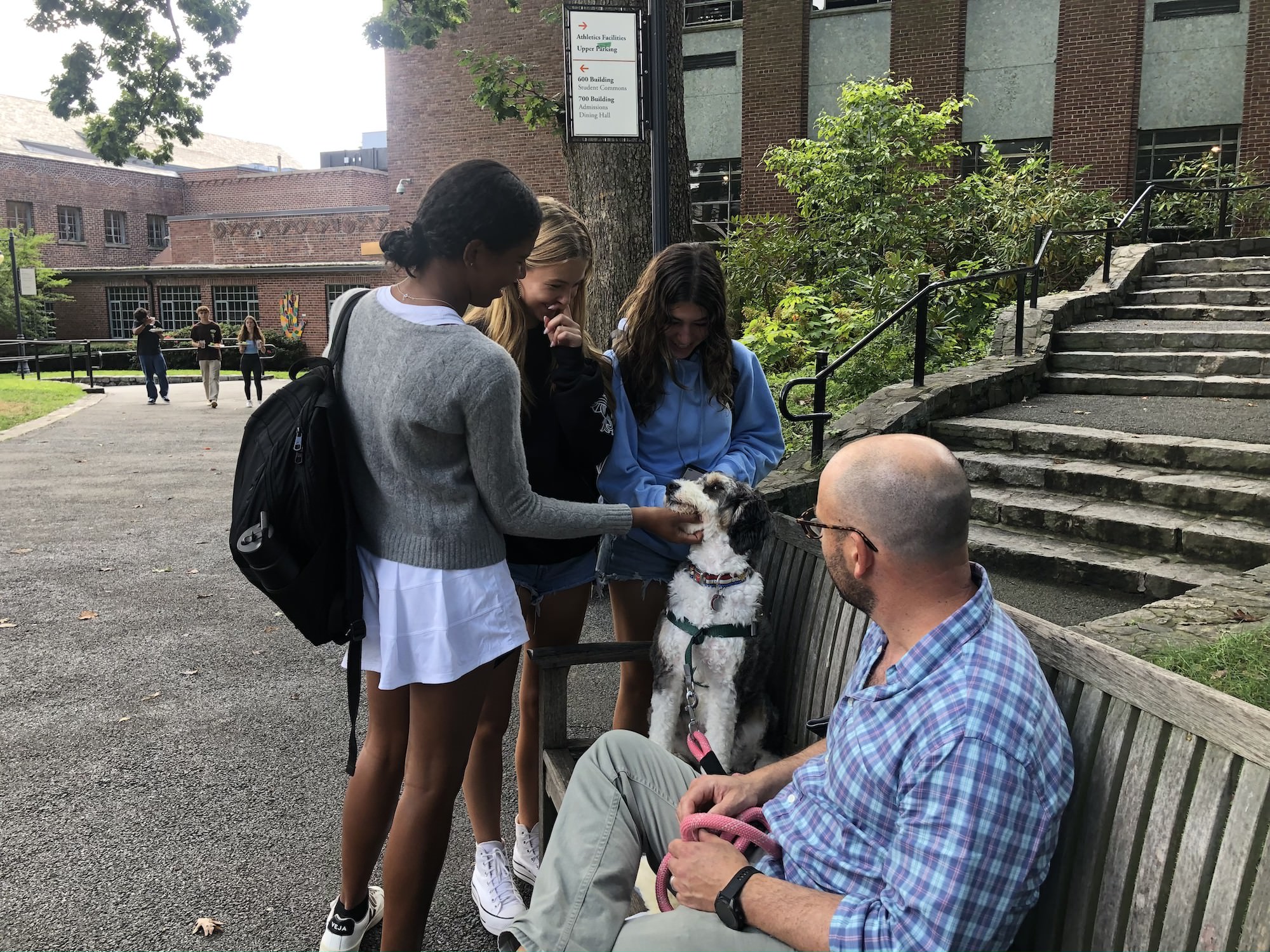 Three Fieldston Upper students gather around a bench with therapy dog Trixie