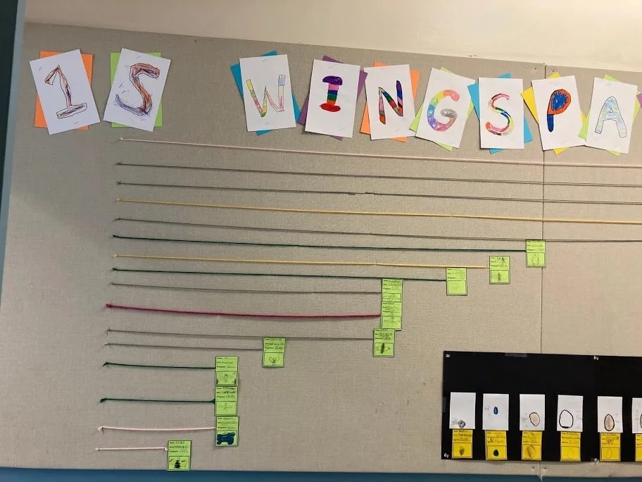 Wingspan graph on the wall