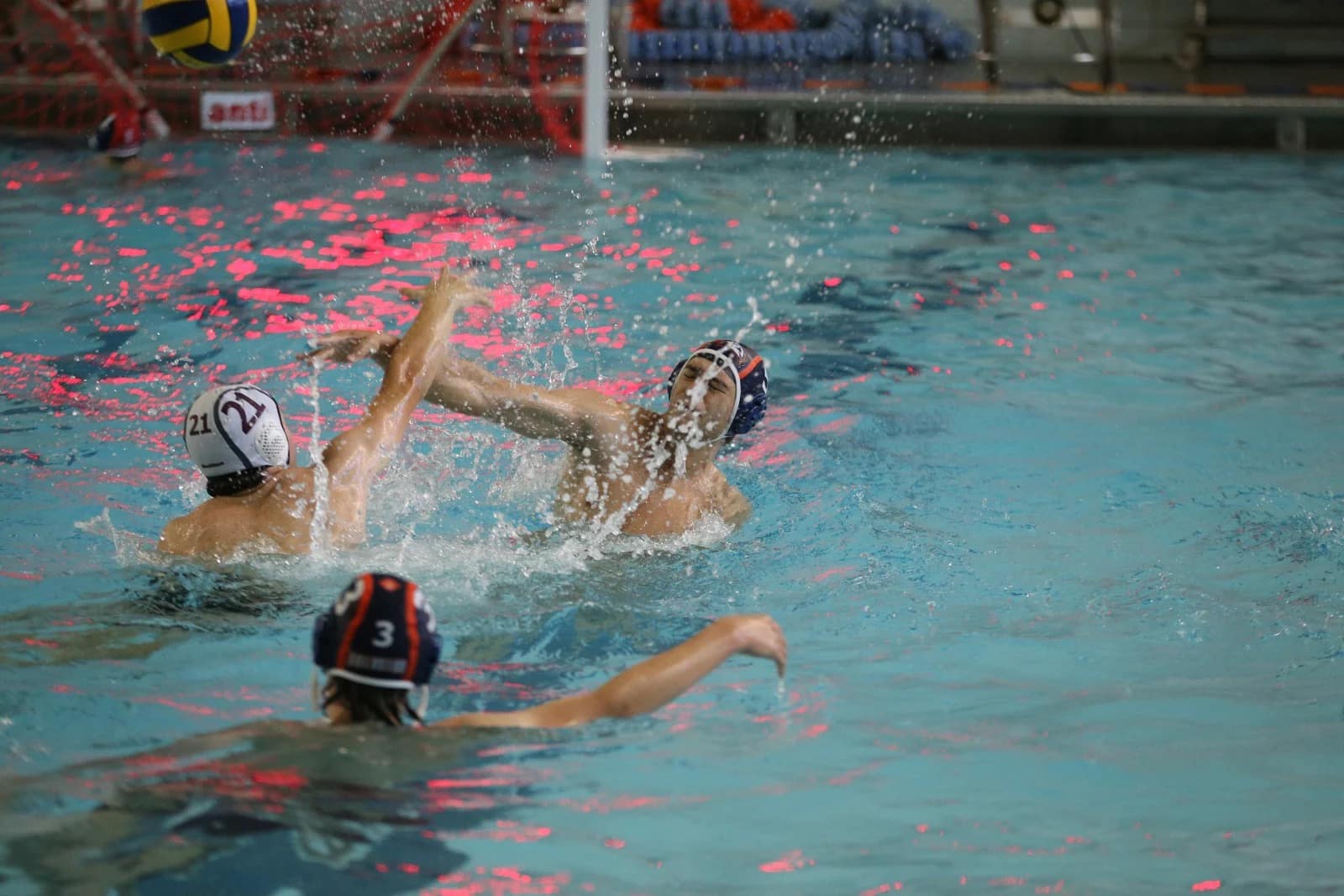 Water polo players in the pool during a match