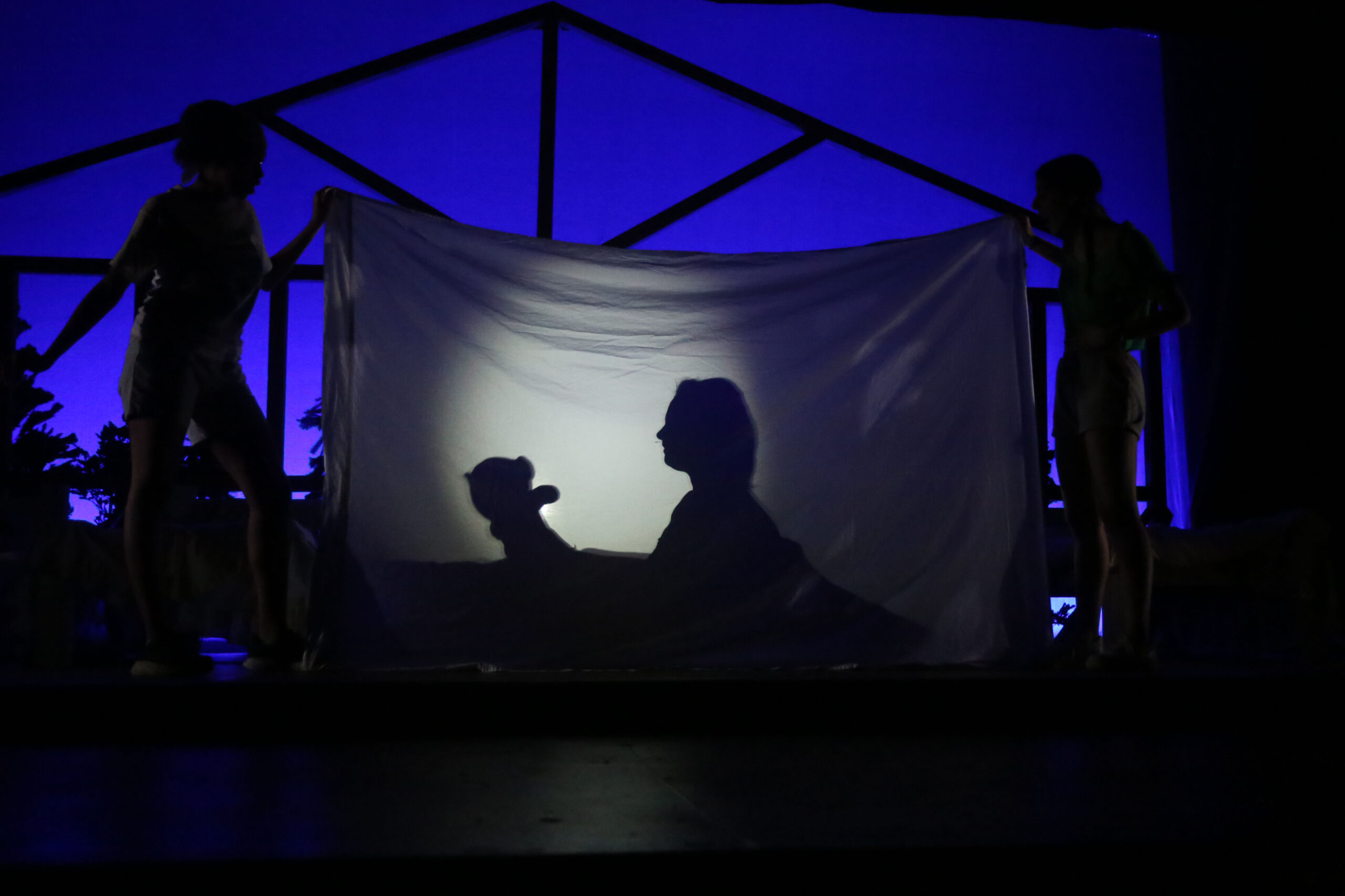 Fieldston Upper student's shadow reflected behind a thin sheet on stage during the fall theatre production