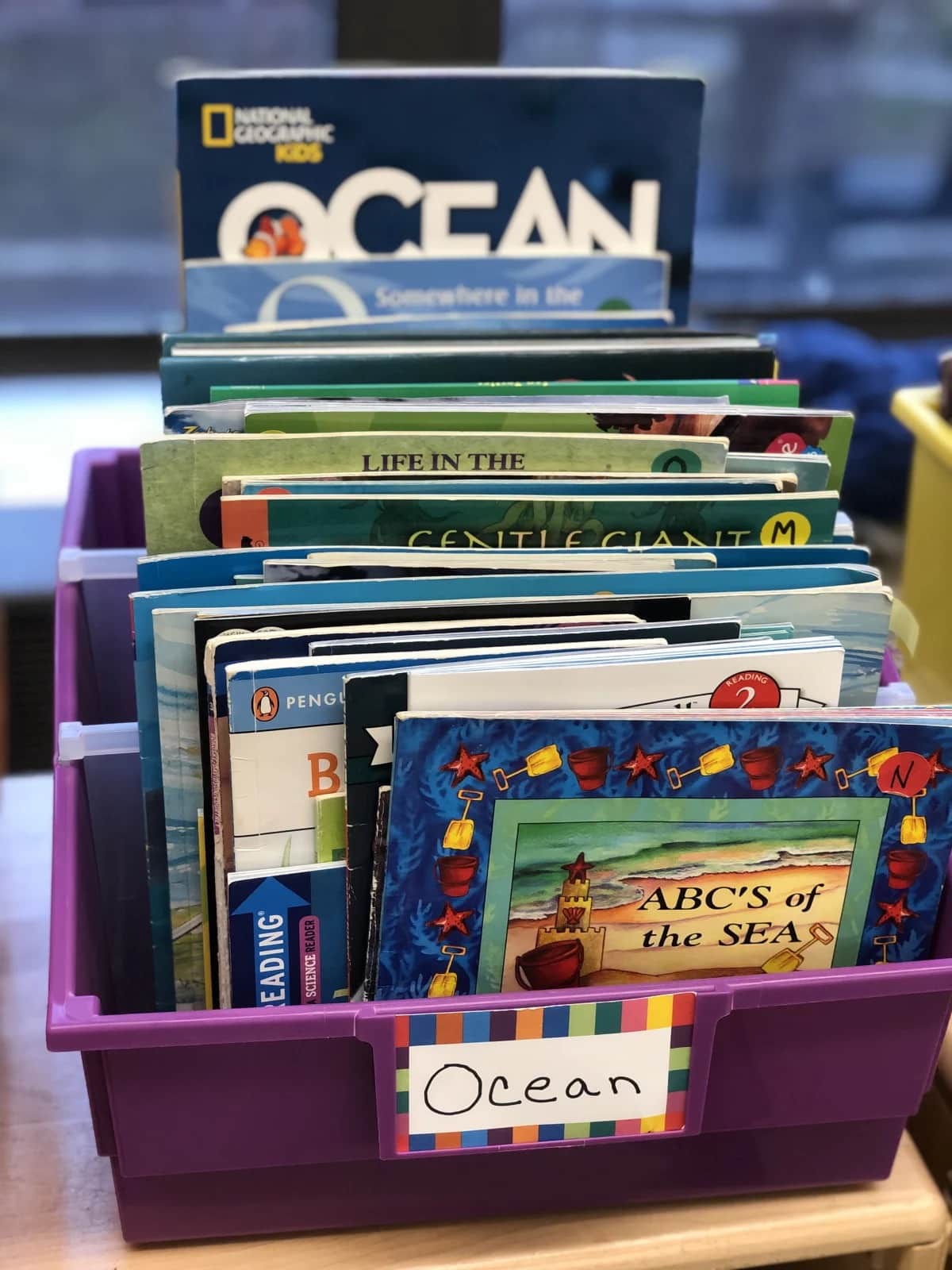 Picture of "ocean" themed books in purple bin