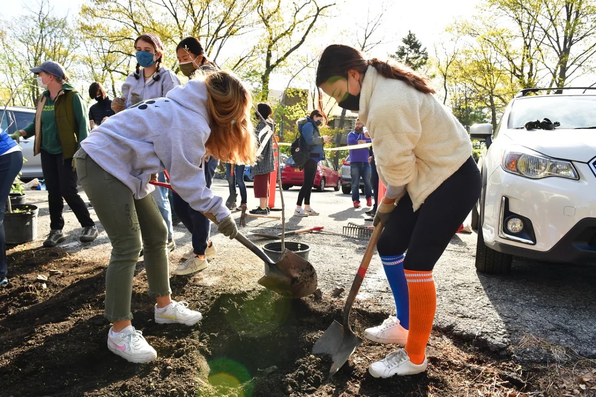 Seniors engage in community service and dig using shovels
