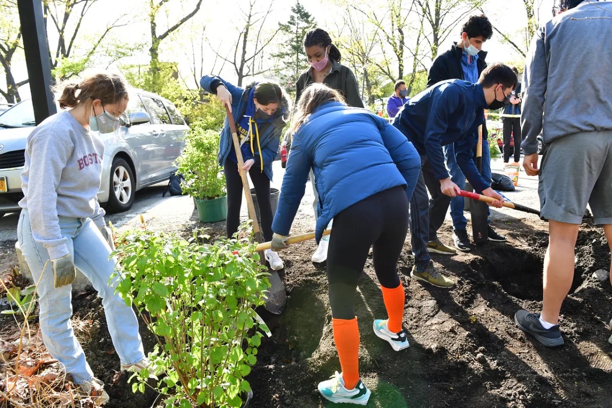 Seniors engage in community service and dig using shovels