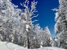 photograph of outdoor winter landscape