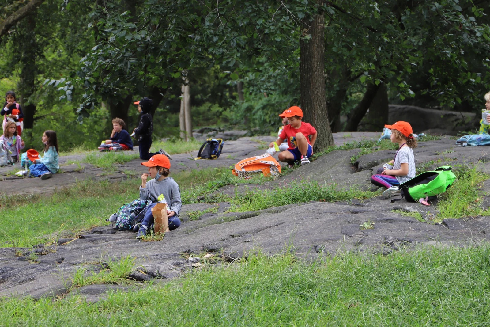 Students eat lunch outdoors in Central Park