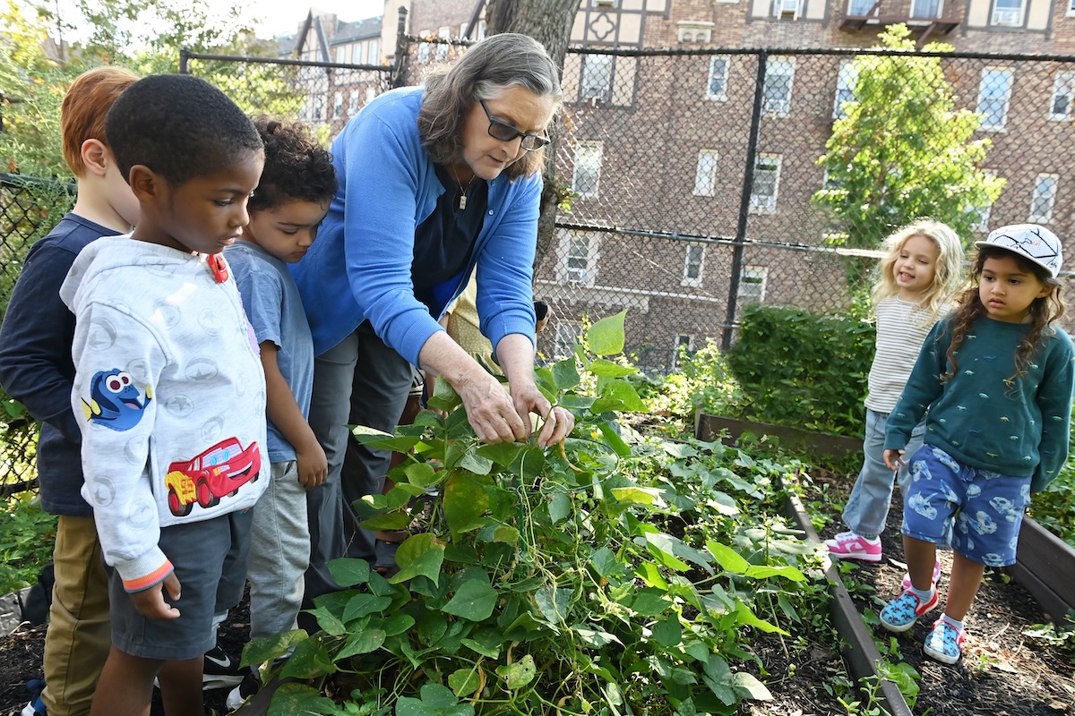 ethical culture fieldston school fl academics 1