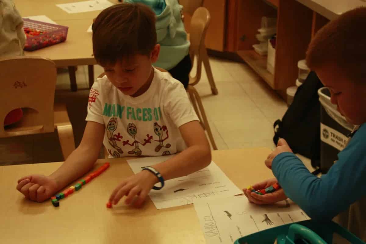 Student measures the length of his arm using cubes