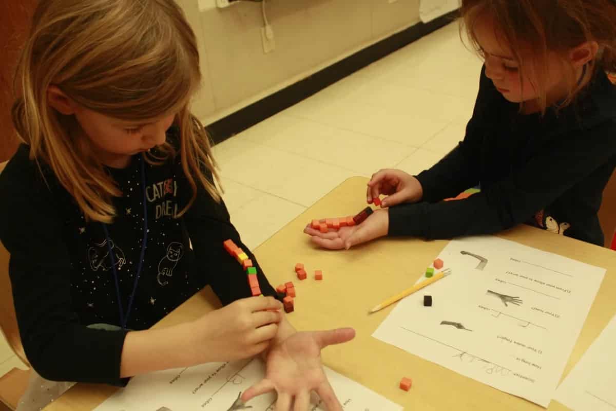 Students measure their arms using cubes