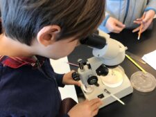 Student looks through microscope